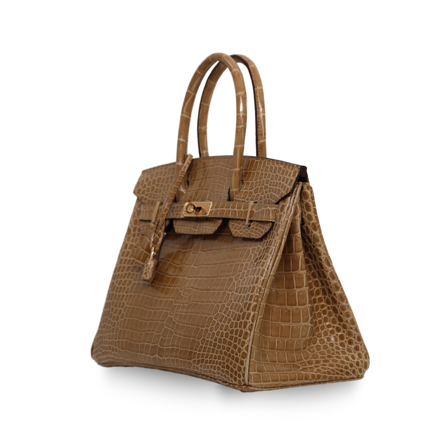 Hermes - Crocodile 30cm Birkin Bag (Brand New)