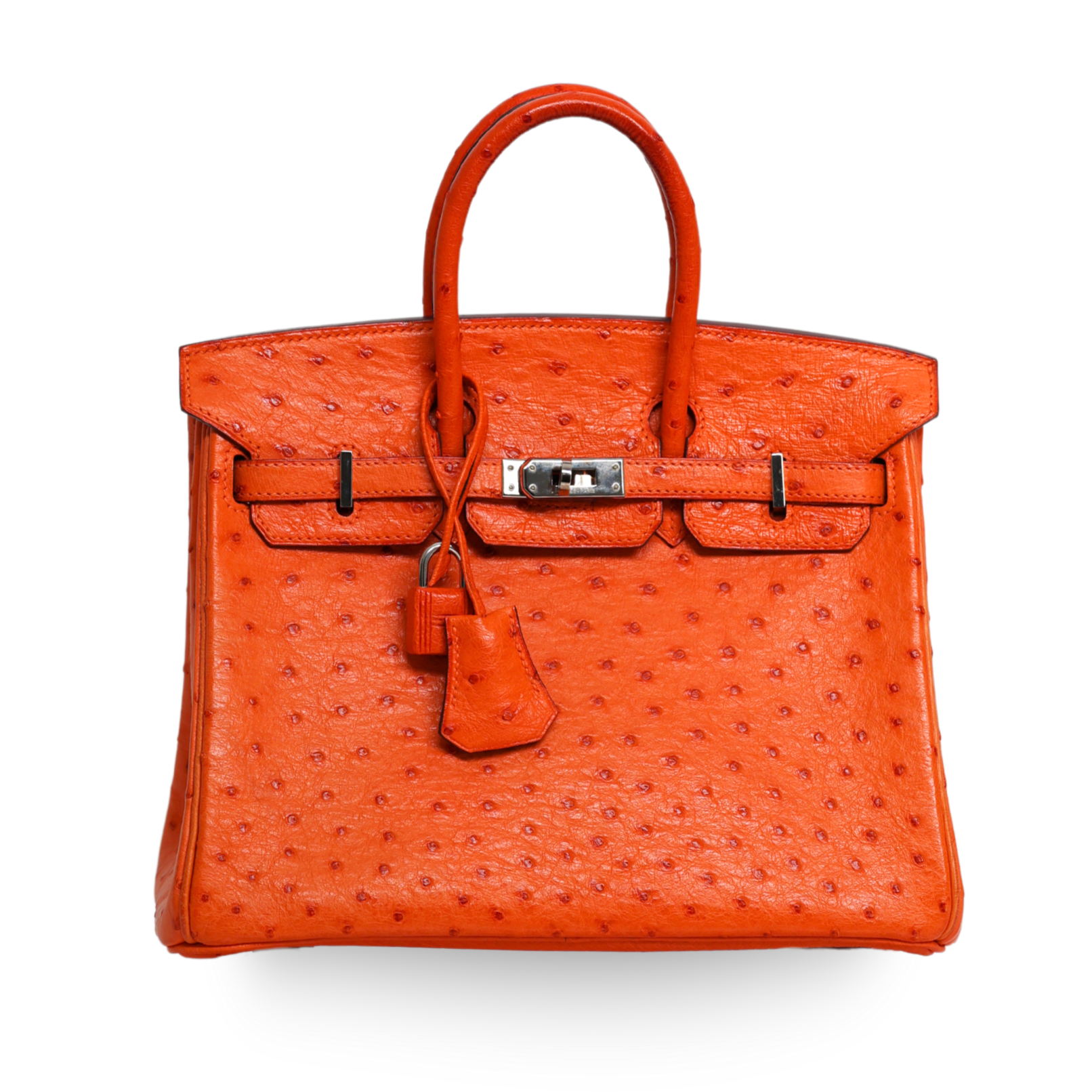 Hermes - Tangarine Ostrich Birkin 25 Palladium Hardware (Pre-Owned)